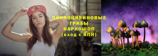 прущая мука Арсеньев
