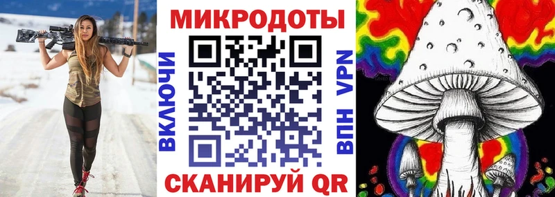 Галлюциногенные грибы Psilocybe  гидра рабочий сайт  Новая Ладога 